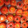 tomates-farcie