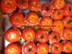 tomates-farcie